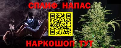 винт Сланцы