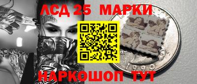 винт Сланцы