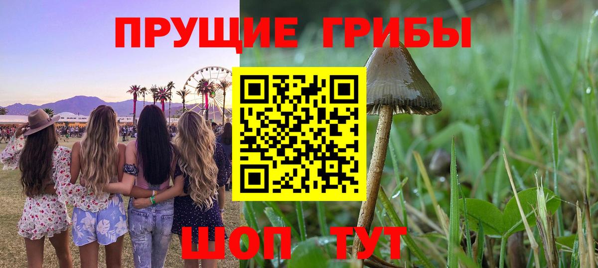 Галлюциногенные грибы мицелий  Вход с VPN  Можайск 